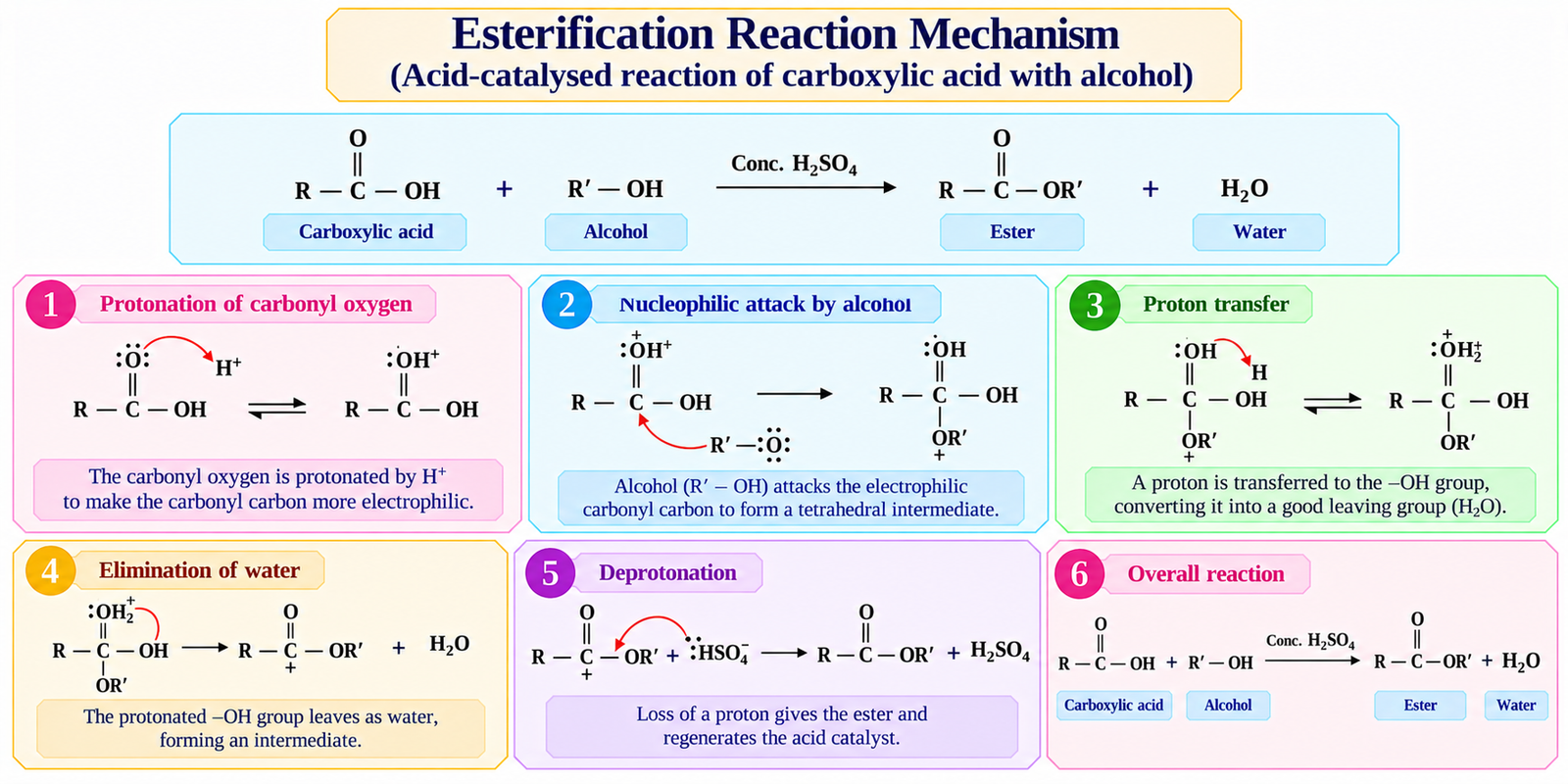 esterification-reaction-mechanism