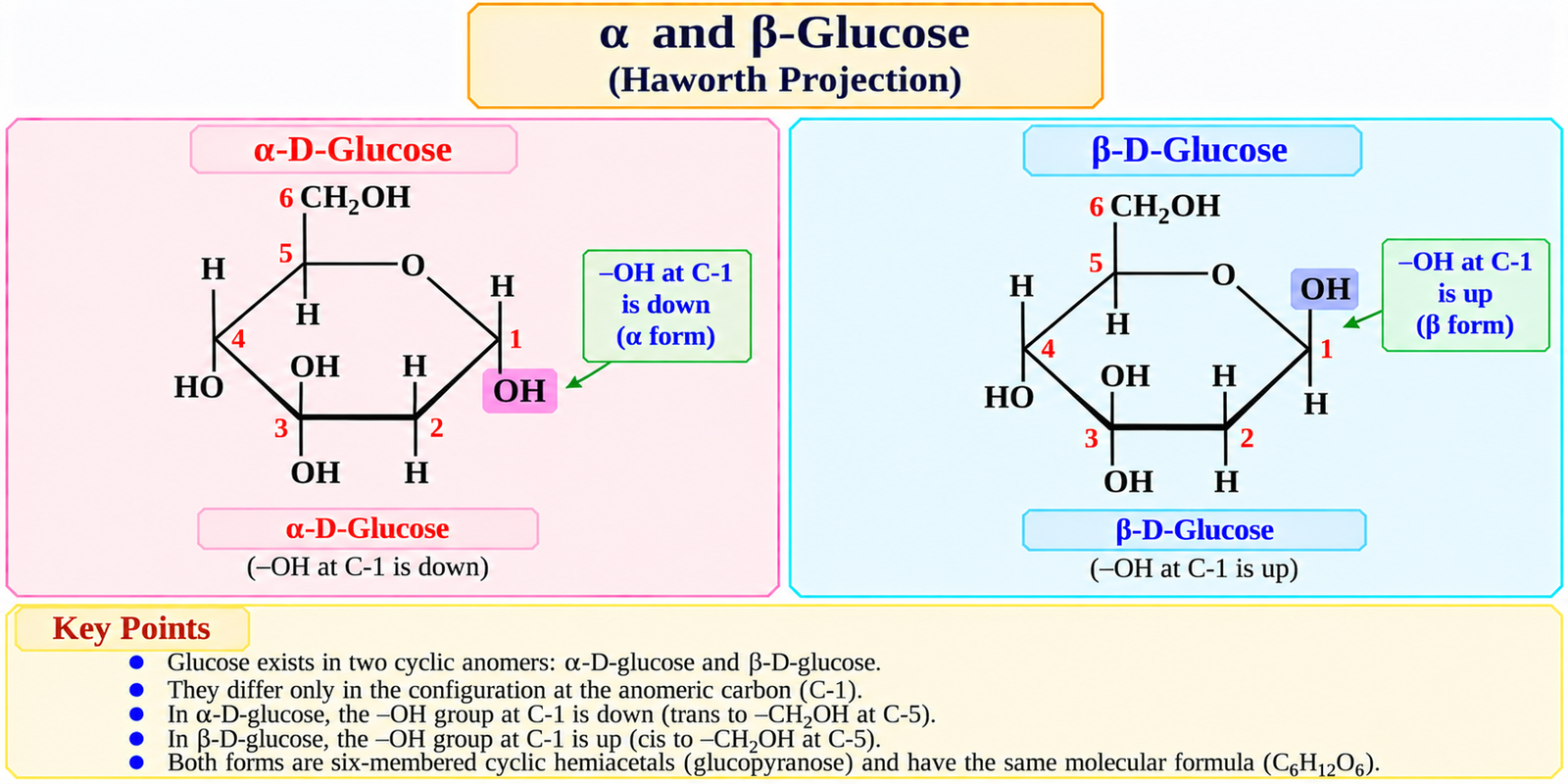 alpha-and-beta-glucose