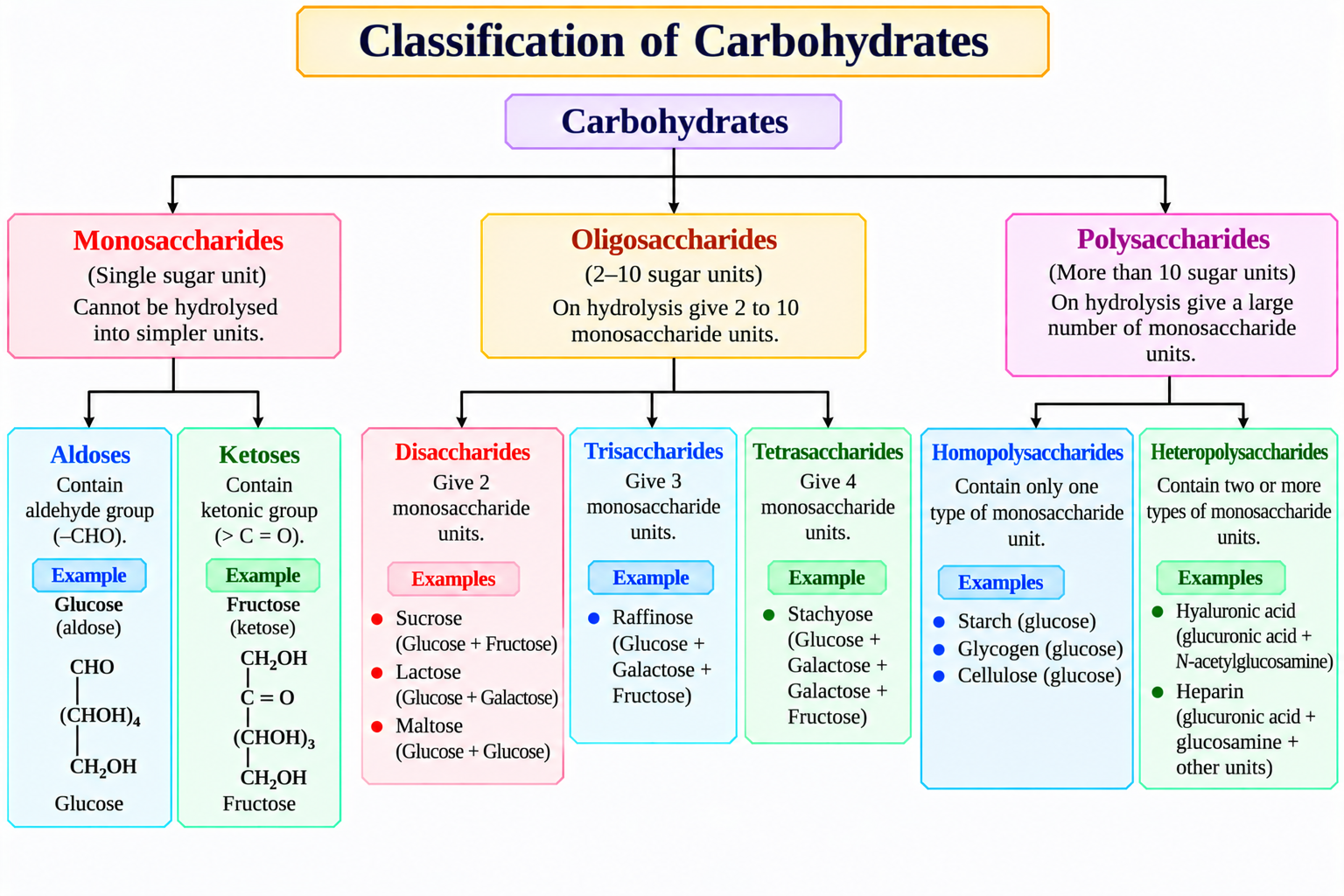 classification-of-carbohydrates