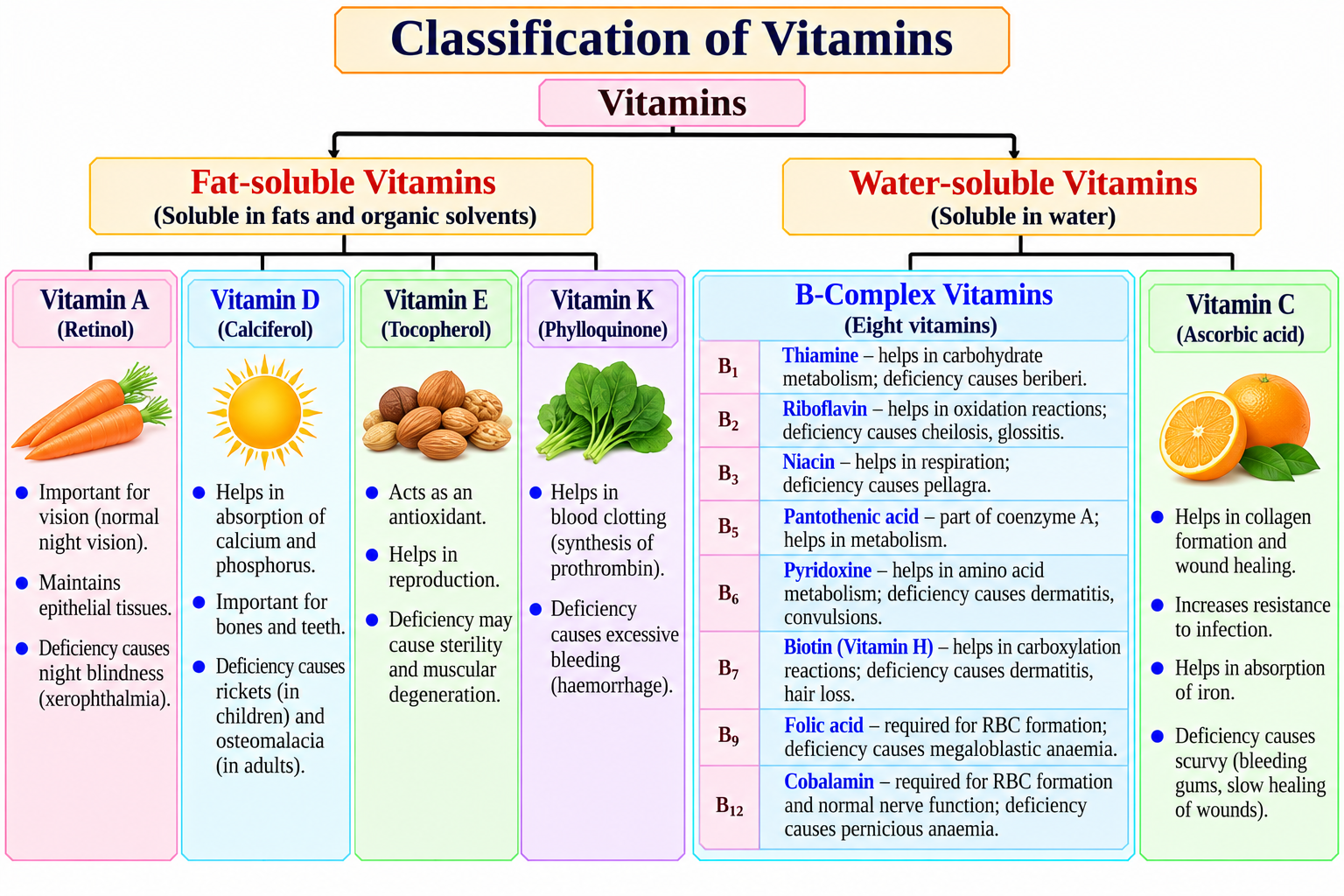 classification-of-vitamins