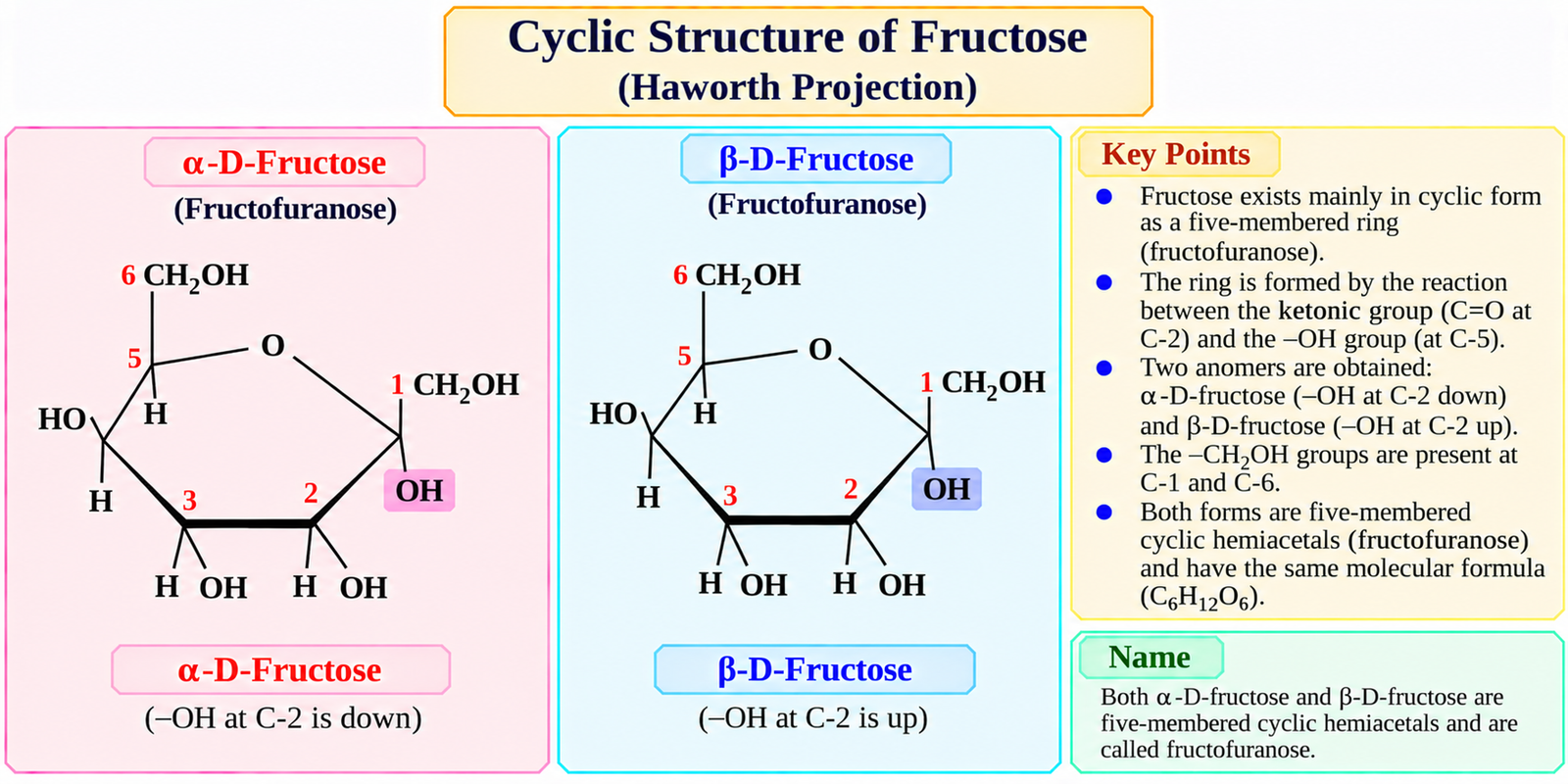 cyclic-structure-of-fructose