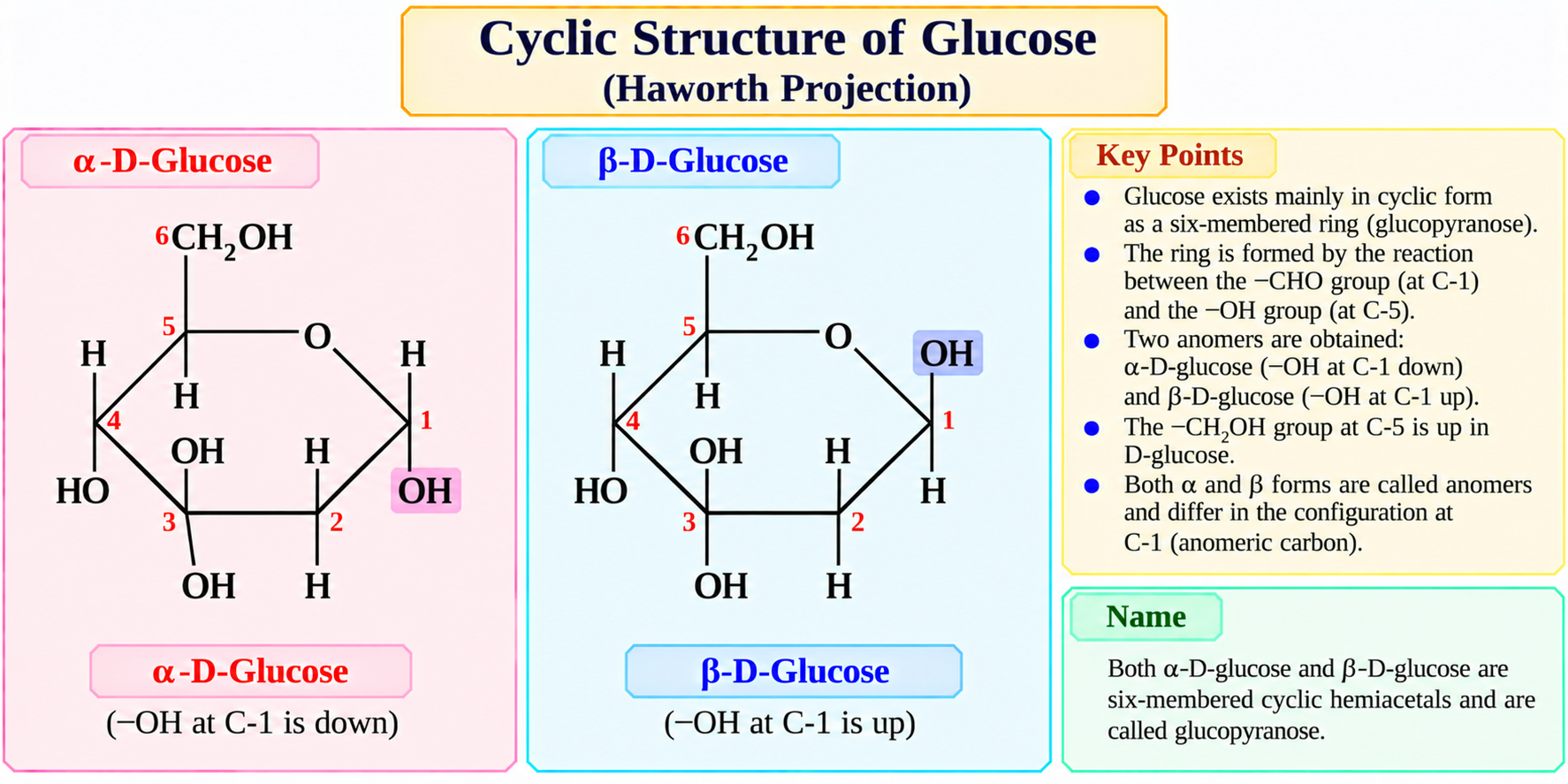 cyclic-structure-of-glucose