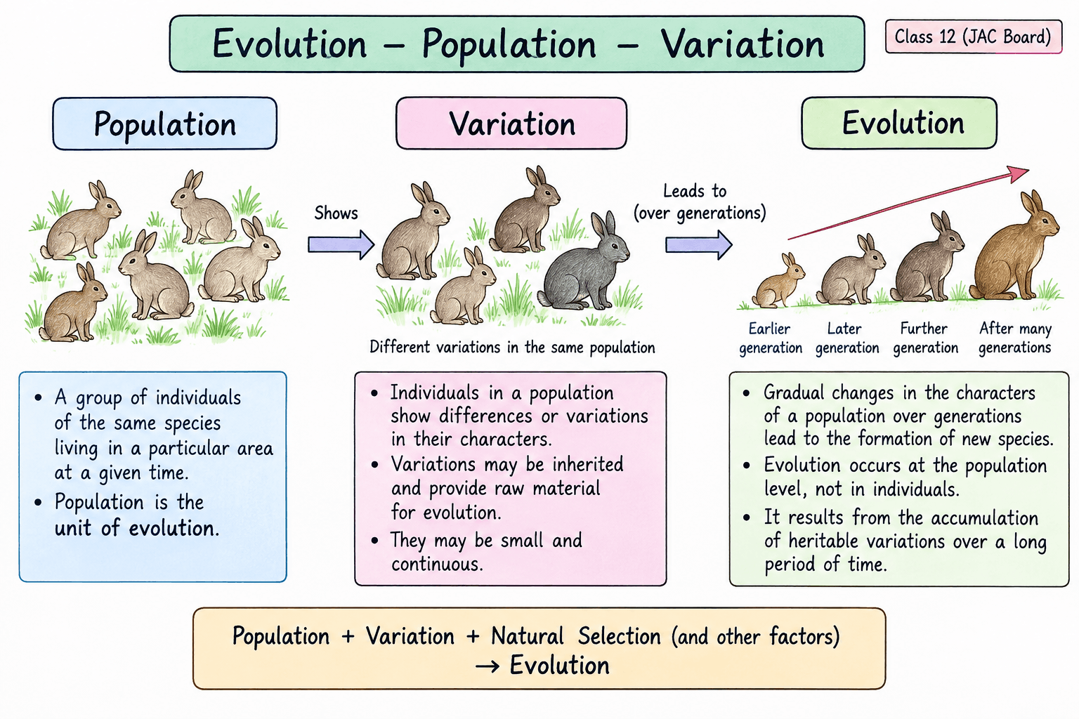 evolution-population-variation