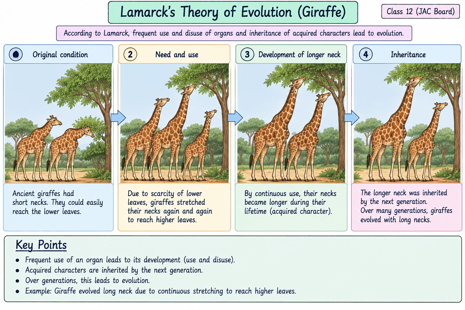 lamarck-giraffe-evolution