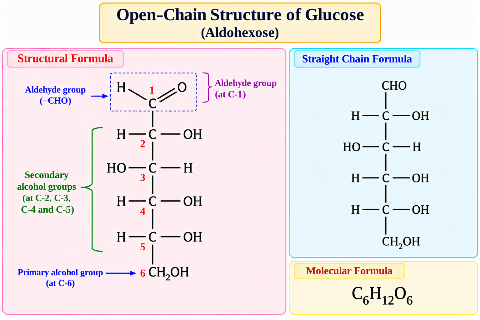 open-chain-structure-of-glucose