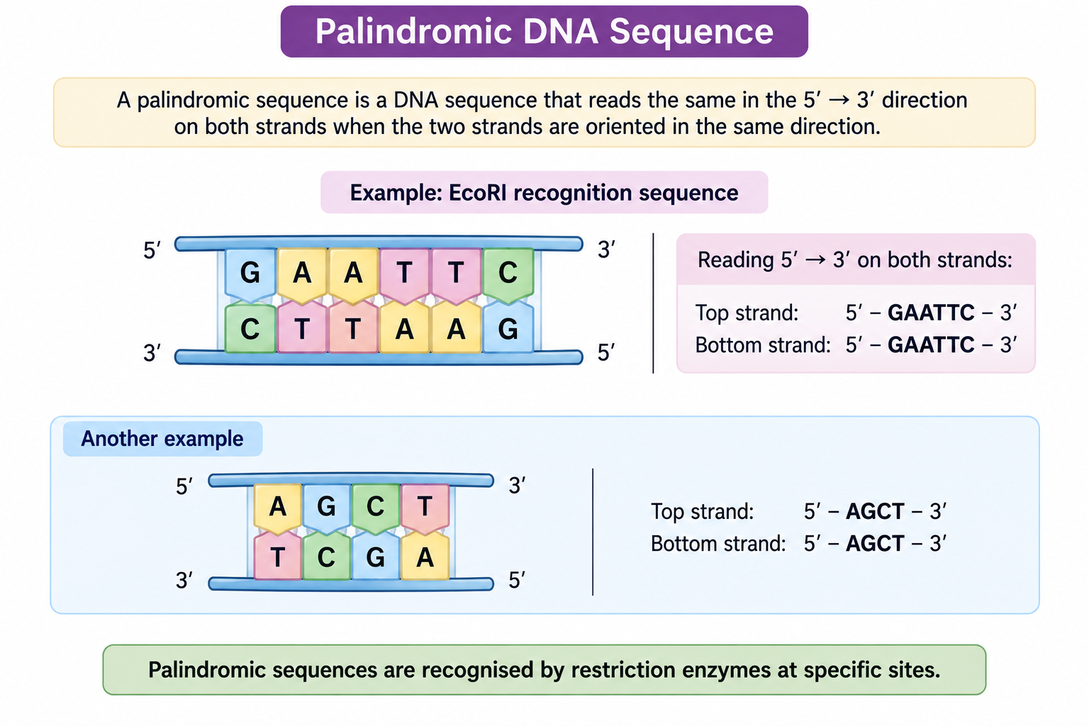 palindromic-sequence