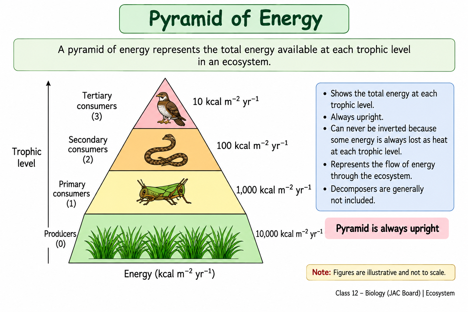 pyramid-of-energy
