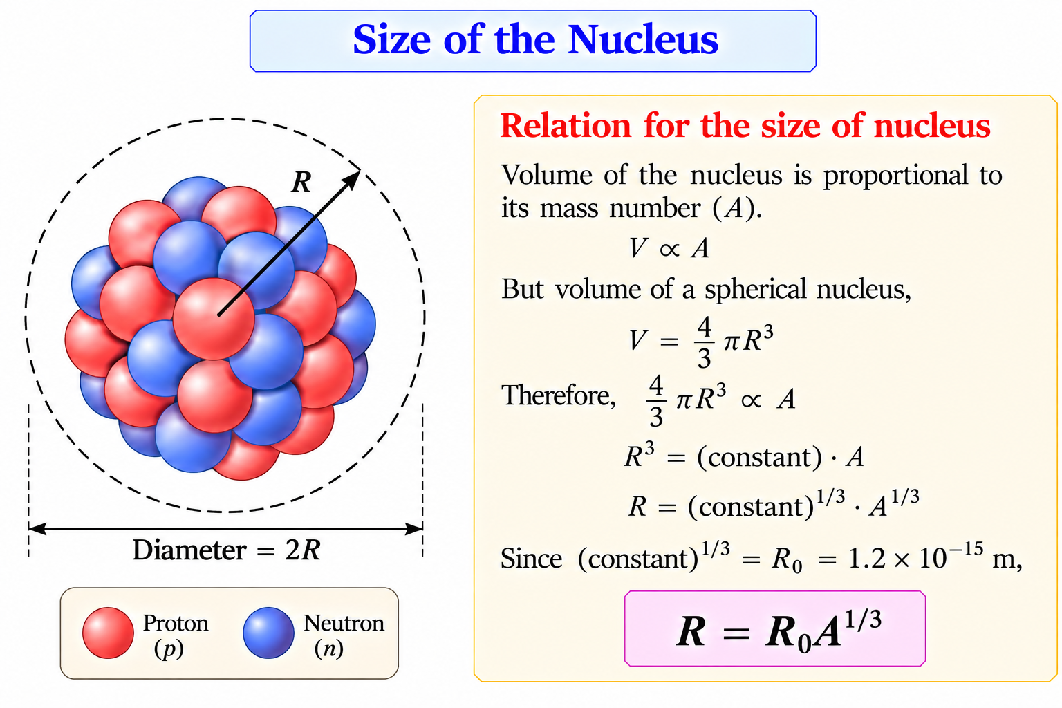 size-of-nucleus