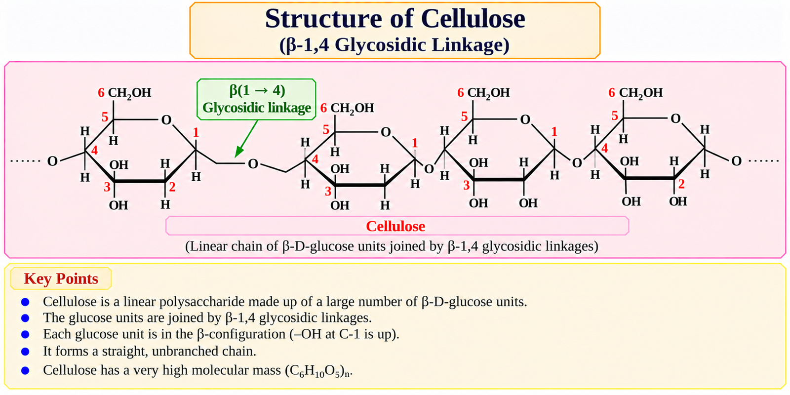 structure-of-cellulose