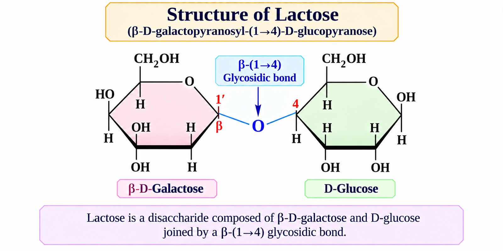 structure-of-lactose