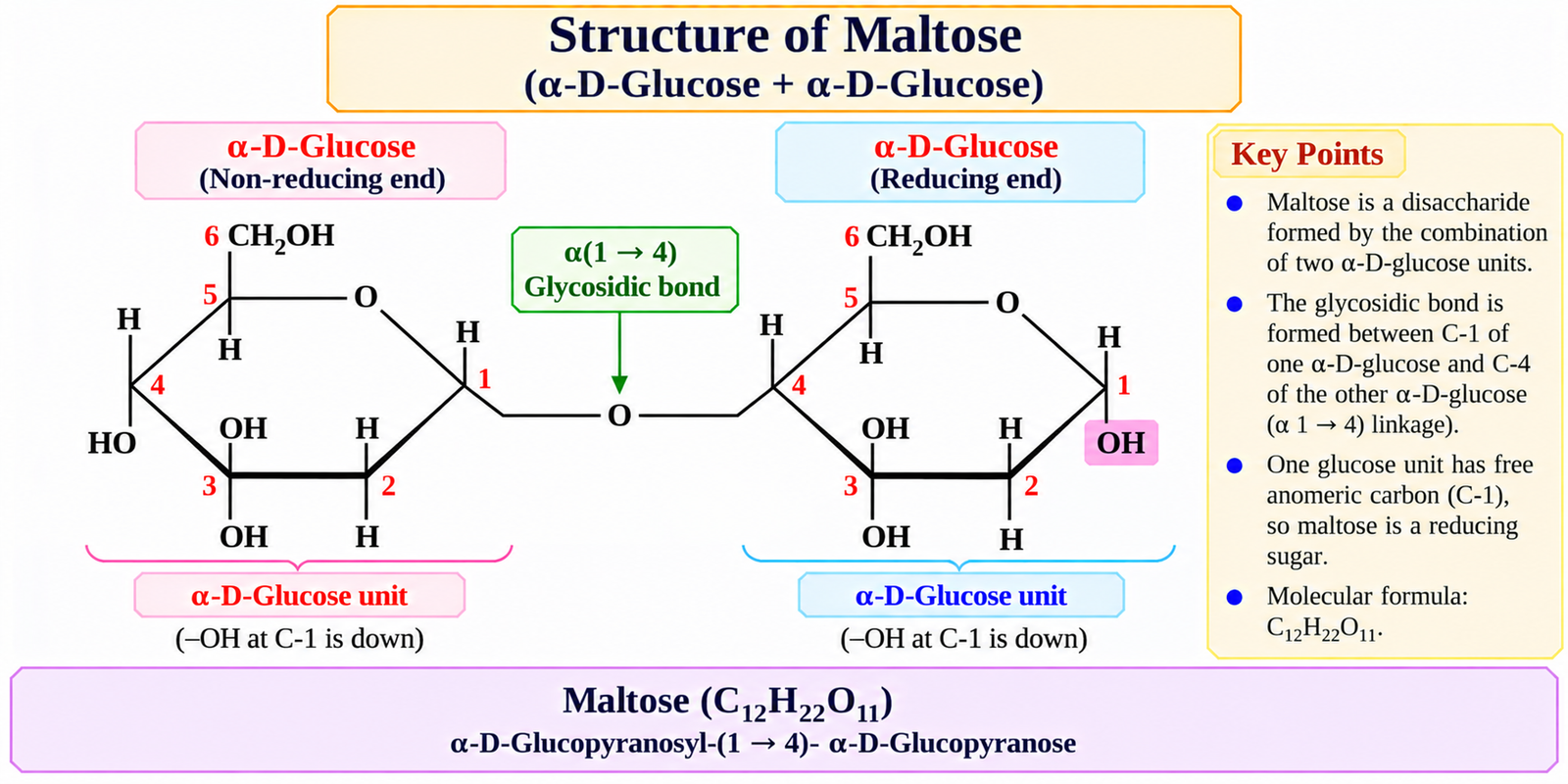 structure-of-maltose