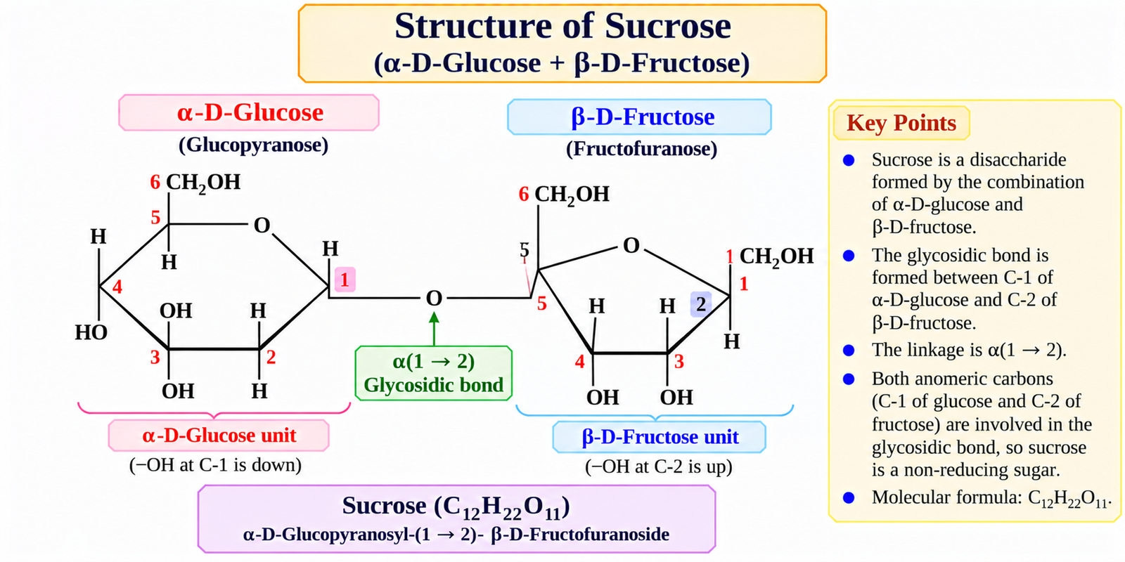 structure-of-sucrose
