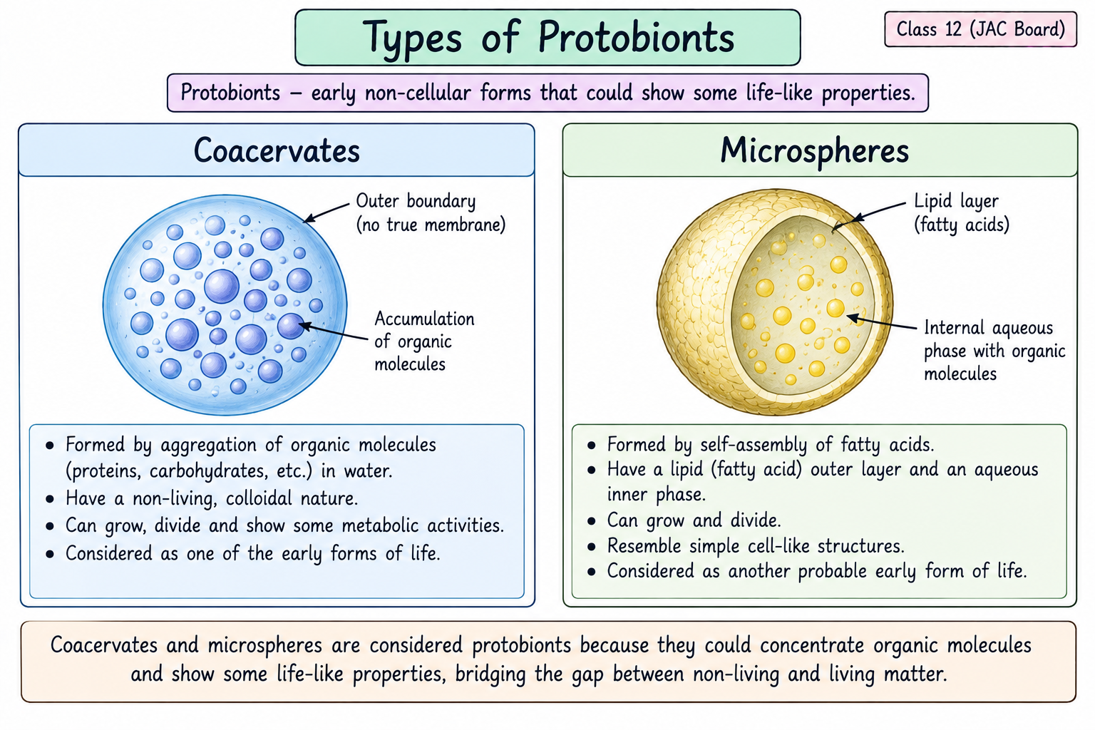 types-of-protobionts