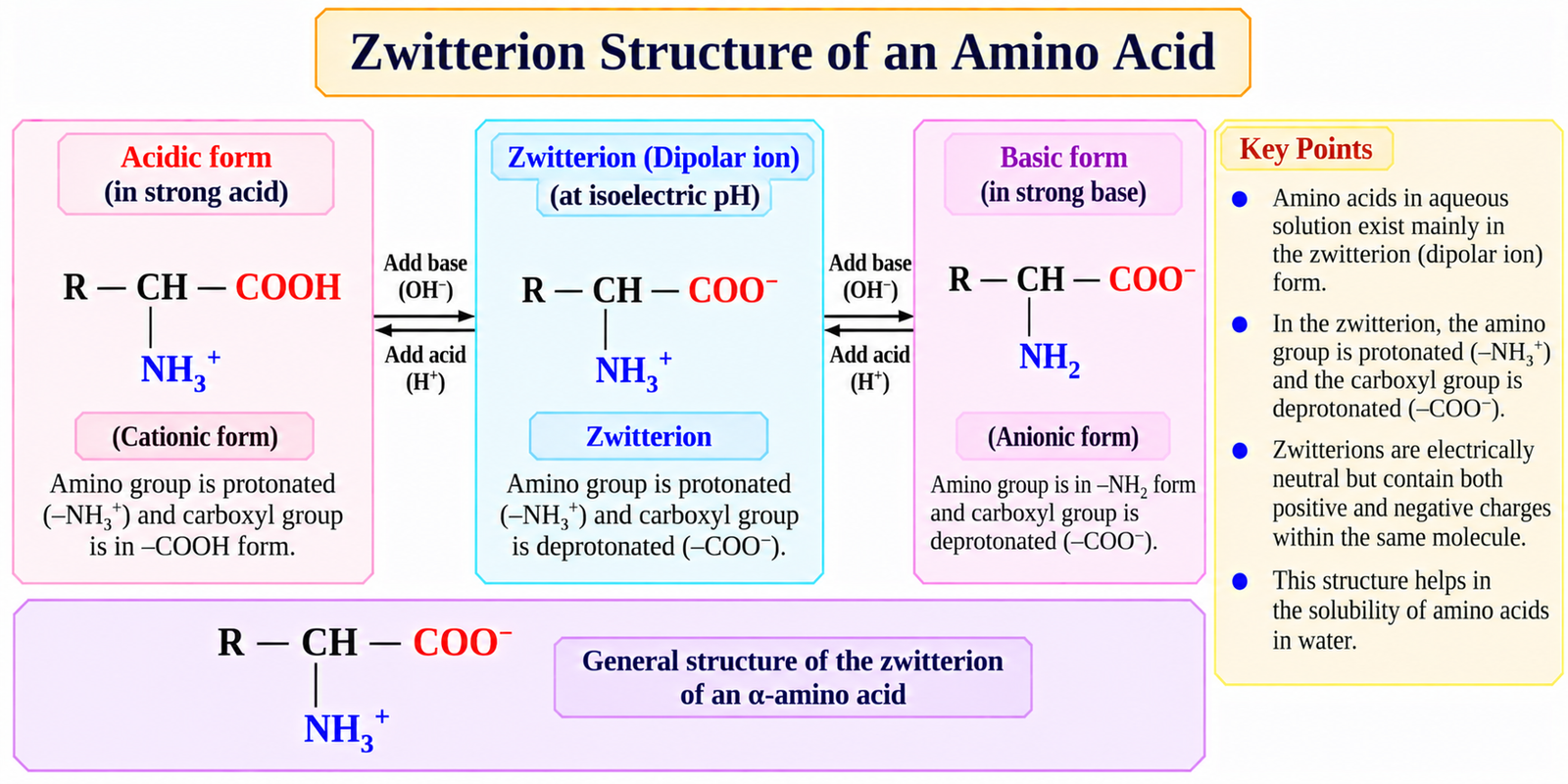 zwitterion-structure-of-amino-acid
